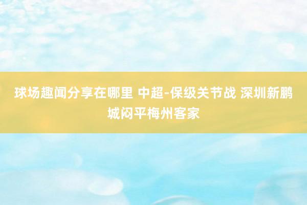 球场趣闻分享在哪里 中超-保级关节战 深圳新鹏城闷平梅州客家