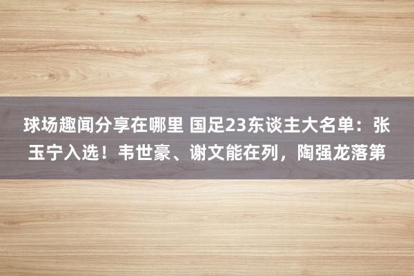 球场趣闻分享在哪里 国足23东谈主大名单：张玉宁入选！韦世豪、谢文能在列，陶强龙落第