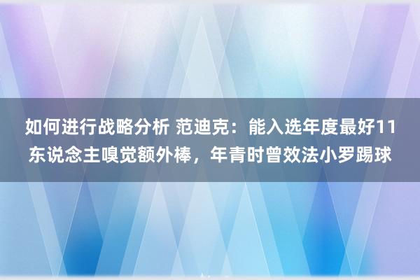 如何进行战略分析 范迪克：能入选年度最好11东说念主嗅觉额外棒，年青时曾效法小罗踢球