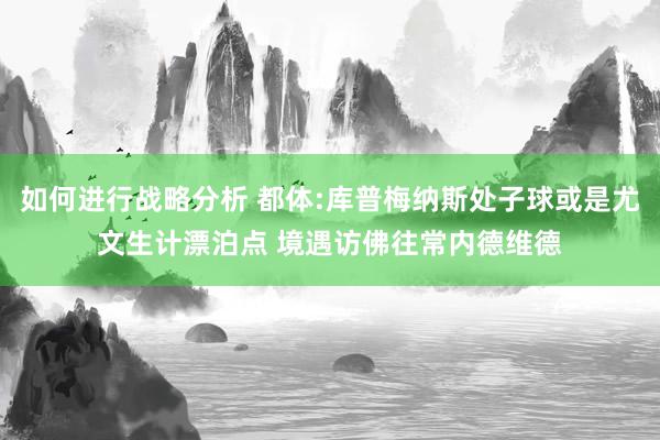 如何进行战略分析 都体:库普梅纳斯处子球或是尤文生计漂泊点 境遇访佛往常内德维德