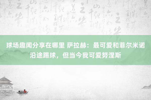 球场趣闻分享在哪里 萨拉赫：最可爱和菲尔米诺沿途踢球，但当今我可爱努涅斯