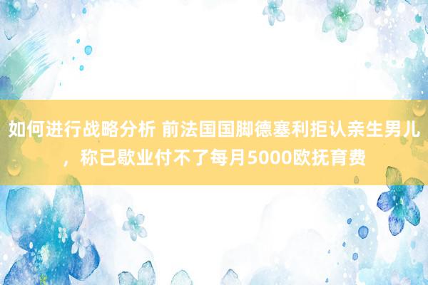 如何进行战略分析 前法国国脚德塞利拒认亲生男儿，称已歇业付不了每月5000欧抚育费