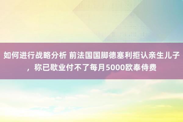 如何进行战略分析 前法国国脚德塞利拒认亲生儿子，称已歇业付不了每月5000欧奉侍费