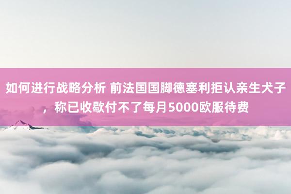 如何进行战略分析 前法国国脚德塞利拒认亲生犬子，称已收歇付不了每月5000欧服待费