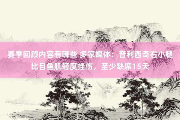 赛季回顾内容有哪些 多家媒体：普利西奇右小腿比目鱼肌轻度挫伤，至少缺席15天