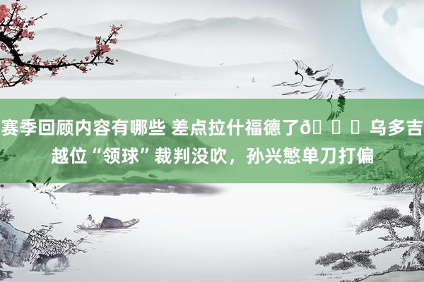 赛季回顾内容有哪些 差点拉什福德了😅乌多吉越位“领球”裁判没吹，孙兴慜单刀打偏