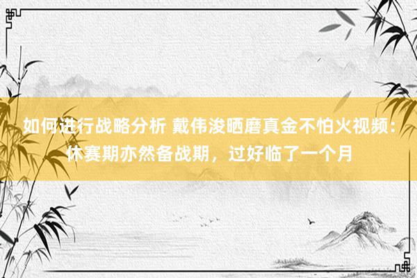 如何进行战略分析 戴伟浚晒磨真金不怕火视频：休赛期亦然备战期，过好临了一个月