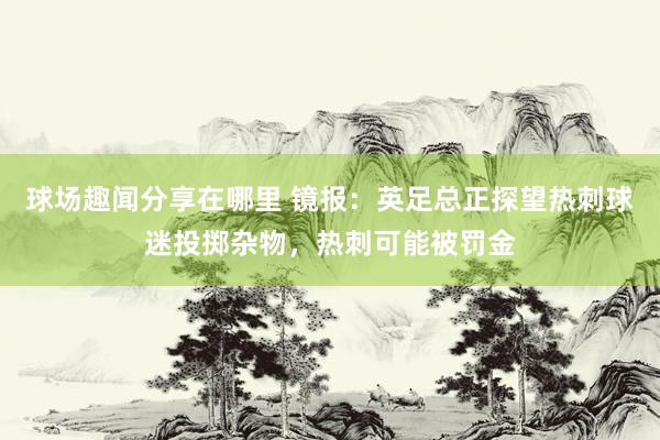 球场趣闻分享在哪里 镜报：英足总正探望热刺球迷投掷杂物，热刺可能被罚金