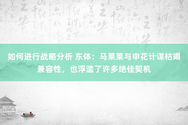 如何进行战略分析 东体：马莱莱与申花计谋枯竭兼容性，也浮滥了许多绝佳契机