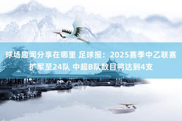 球场趣闻分享在哪里 足球报：2025赛季中乙联赛扩军至24队 中超B队数目将达到4支