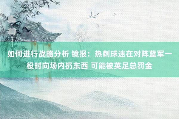 如何进行战略分析 镜报：热刺球迷在对阵蓝军一役时向场内扔东西 可能被英足总罚金