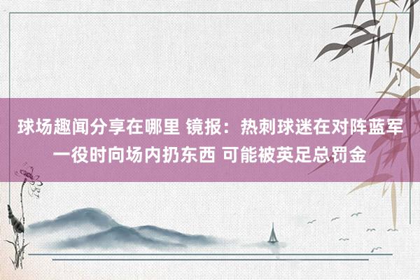 球场趣闻分享在哪里 镜报：热刺球迷在对阵蓝军一役时向场内扔东西 可能被英足总罚金