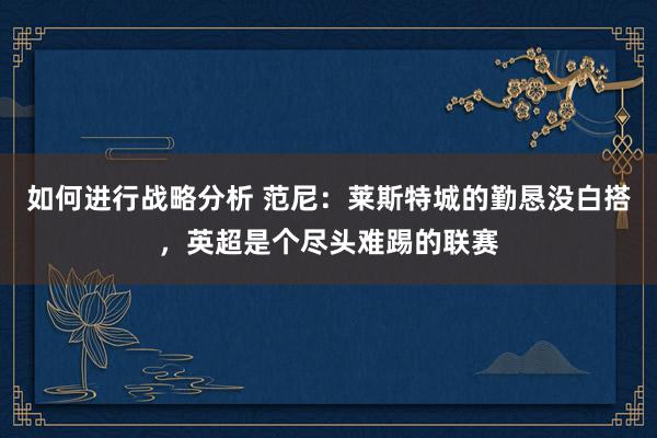 如何进行战略分析 范尼：莱斯特城的勤恳没白搭，英超是个尽头难踢的联赛