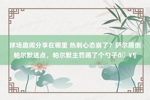 球场趣闻分享在哪里 热刺心态崩了？萨尔踢倒帕尔默送点，帕尔默主罚踢了个勺子🥶