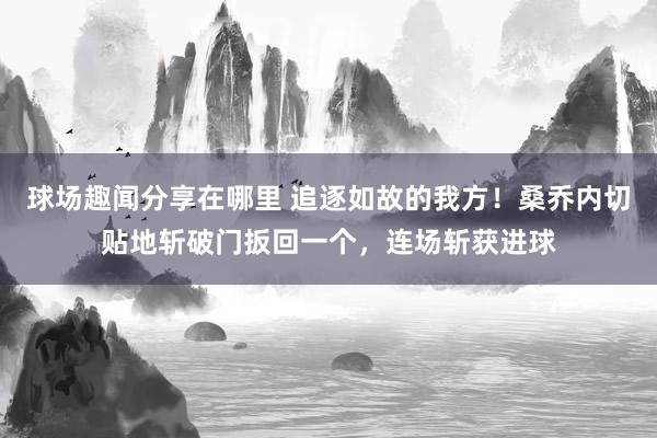 球场趣闻分享在哪里 追逐如故的我方！桑乔内切贴地斩破门扳回一个，连场斩获进球