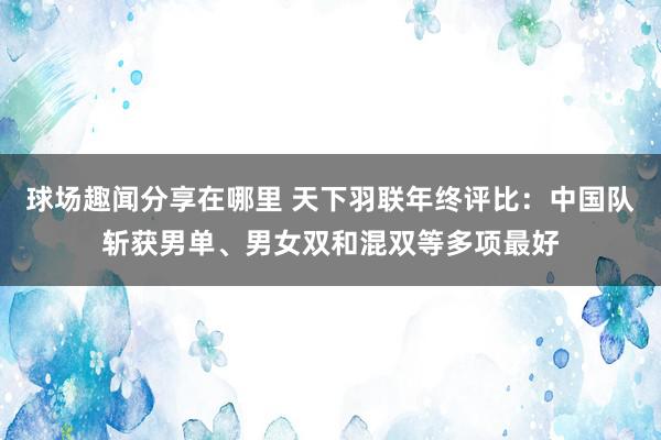 球场趣闻分享在哪里 天下羽联年终评比：中国队斩获男单、男女双和混双等多项最好